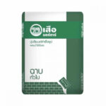 เสือมอร์ตาร์ ฉาบทั่วไป