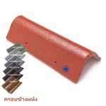 ครอบข้างผนัง กลุ่มสีพิเศษ CAPA