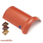 ครอบสันโค้ง กลุ่มสีประกาย CAPA