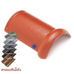 ครอบสันโค้ง กลุ่มสีพิเศษ CAPA