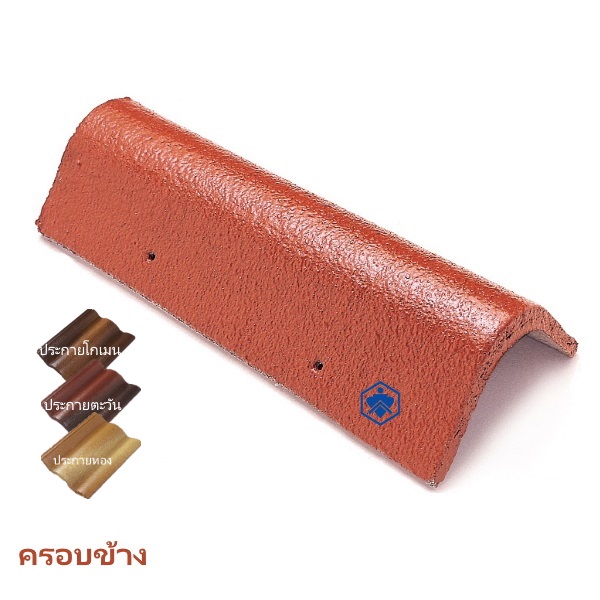 ครอบข้าง กลุ่มสีประกาย CAPA