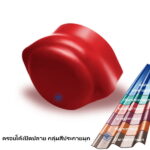 ครอบโค้งปิดปลาย ลอนคู่ กลุ่มสีประกายมุก ช้าง