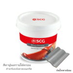 สีทาปูนทรายใต้ครอบ เงินไททาเนี่ยม CAPA