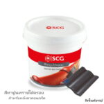 สีทาปูนทรายใต้ครอบ ลิกไนต์เกรย์ CAPA