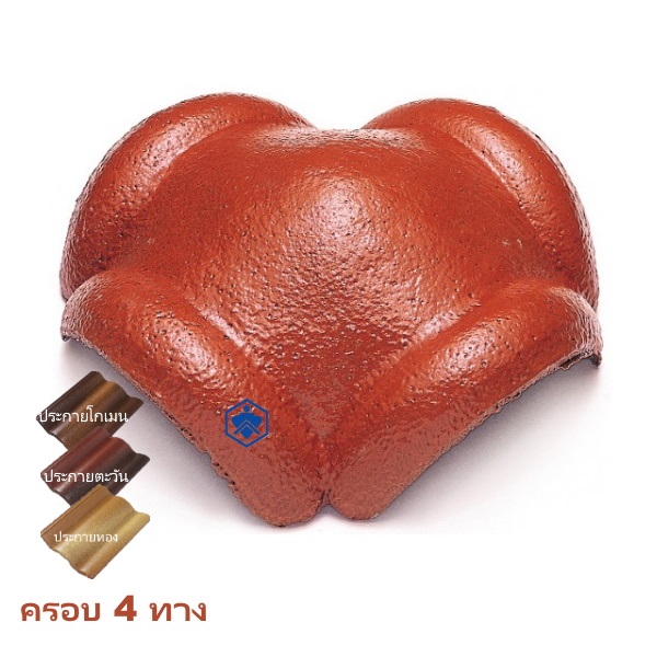 ครอบโค้ง 4 ทาง กลุ่มสีประกาย CAPA