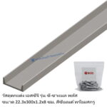 ซีชาแนลพลัส เอสซีจี 22.3x300x1.2ซม ปีกสูง 8ซม.&สกรู