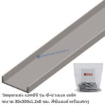 ซีชาแนลพลัส เอสซีจี 30x300x1.2ซม ปีกสูง 8ซม.&สกรู