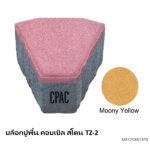 บล็อกปูพื้น คอบเบิล สโตน TZ-2 มูนนี่ เยลโล่ 12x13.78ซม.