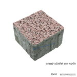 บล็อกปูพื้น ลากูน่า มัลดีฟ 10x10ซม. เรด คอรัล