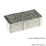 บล็อกปูพื้น ลากูน่า มัลดีฟ 10x20ซม. เกรย์ รีฟ