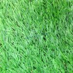 หญ้าเทียม EasyGrass 4cm. Fresh Green (Prj) Z