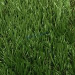 หญ้าเทียม SavingGrass 4ซม. GREEN (Prj) สั่งตัด