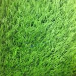 หญ้าเทียม SavingGrass 2.5ซม. Forest Green (Prj) สั่งตัด