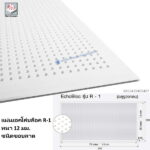 แผ่นยิปซัมเอคโค่บล็อค R-1 ลดเสียงสะท้อน รูกลม ลาด 12มม.
