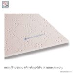แผ่นฝ้าปรุลาย เท็กซ์เจอร์ทัช 600x600x9มม. ลายแพลงตอน
