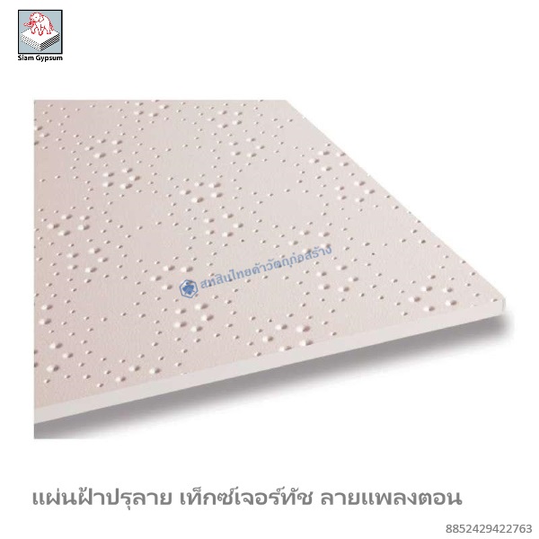 แผ่นฝ้าปรุลาย เท็กซ์เจอร์ทัช 600x600x9มม. ลายแพลงตอน