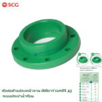ข้อต่อตัวแปลงหน้าจาน พีพีอาร์ A2 ตราช้างน้ำร้อน 160 (6")