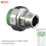 ข้อต่อยูเนี่ยนเกลียวนอก พีพีอาร์ ตราช้างน้ำร้อน